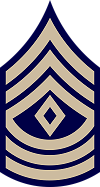 Insigne-1/Sgt.