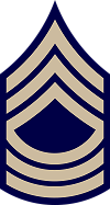 Insigne-MSgt.