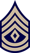 Paratrooper Front Rank Insignia