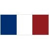 Miniature drapeau français